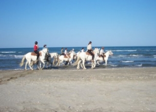  在卡马格与兰多角骑马 